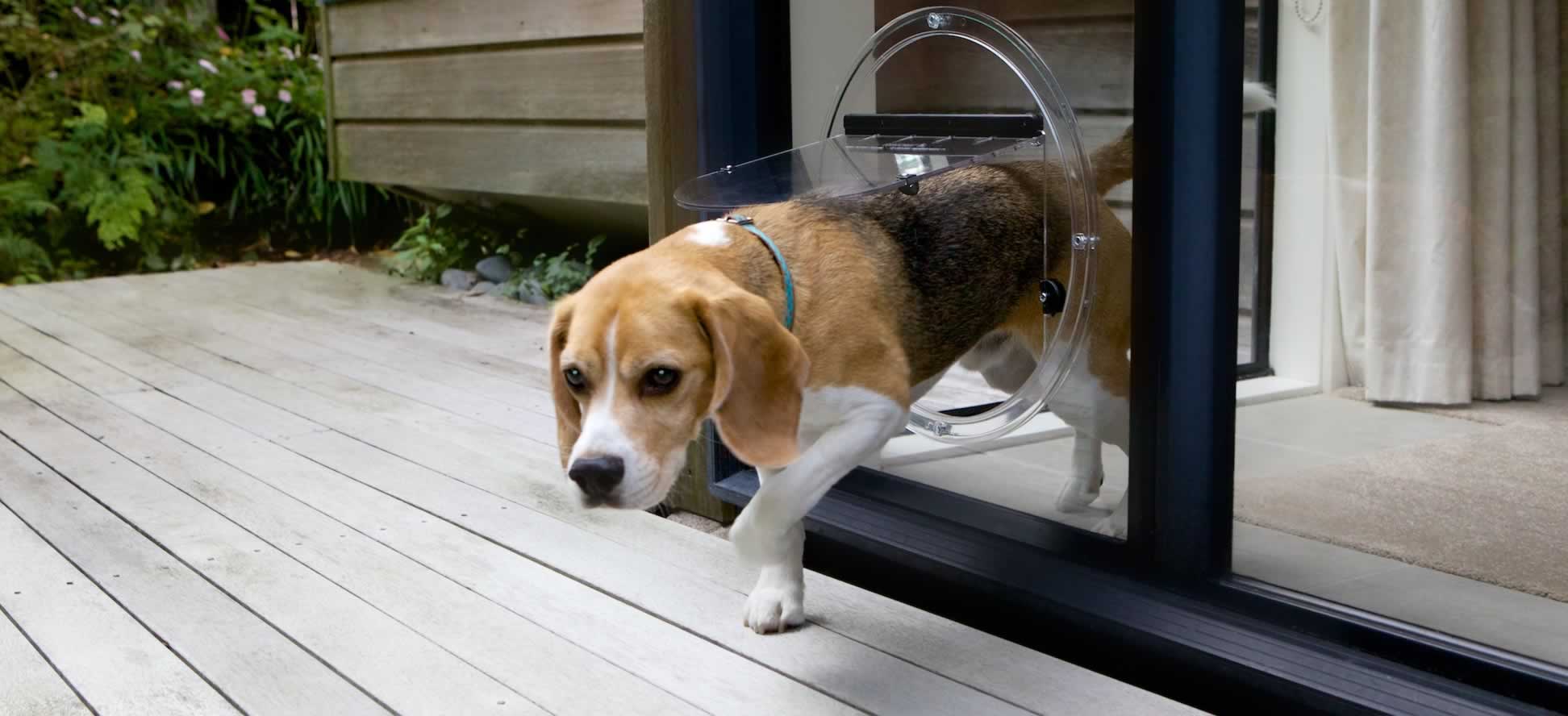 Dog flap Installation in Dubai